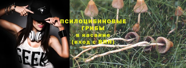 мдпв Лиски